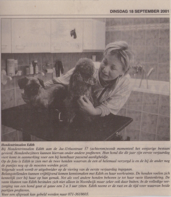 krantenartikel4