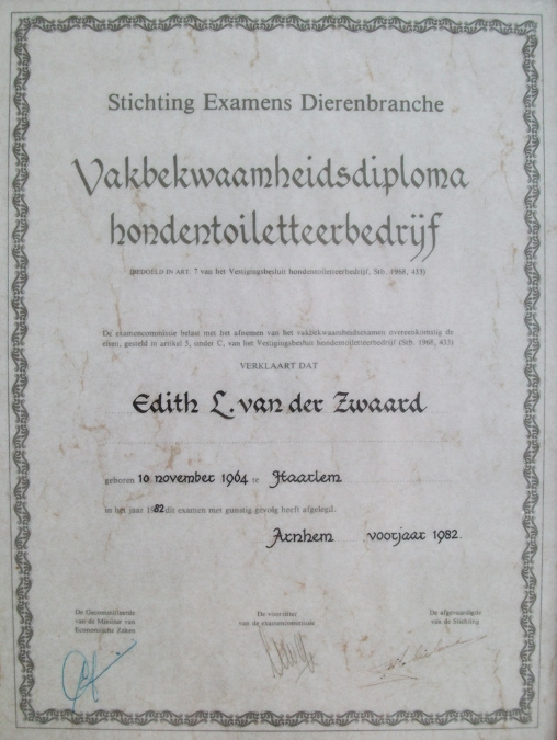 diploma1