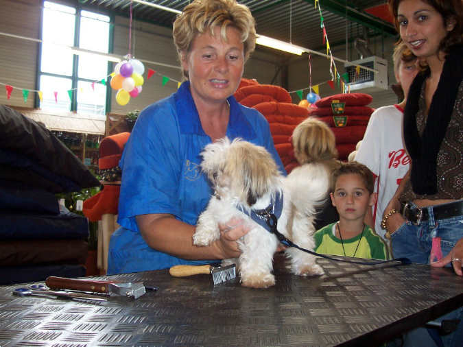 dierenwinkel3