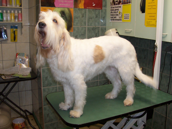 62na